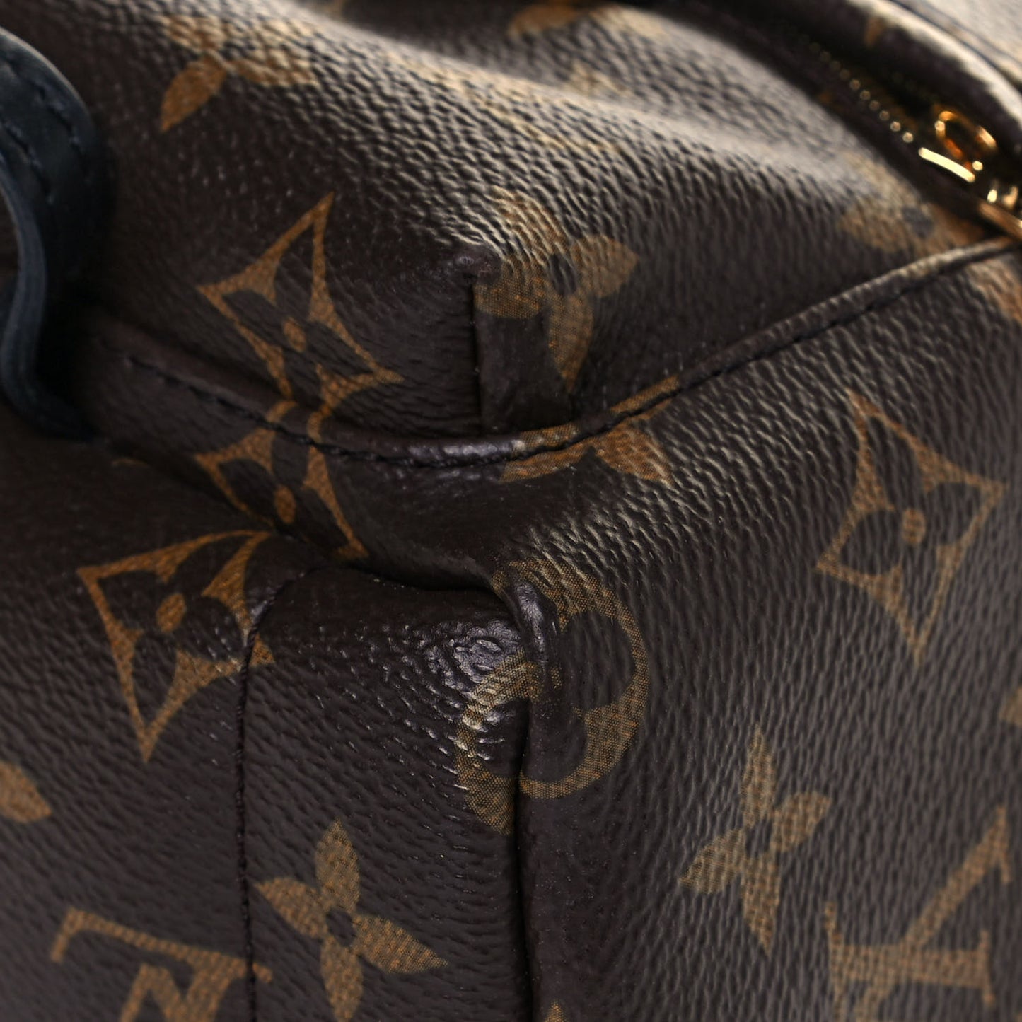 Monogram Palm Springs Backpack Mini