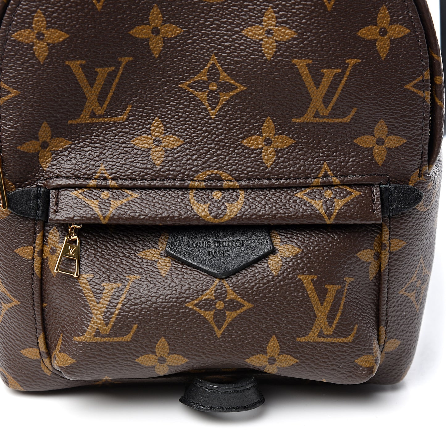 Monogram Palm Springs Backpack Mini