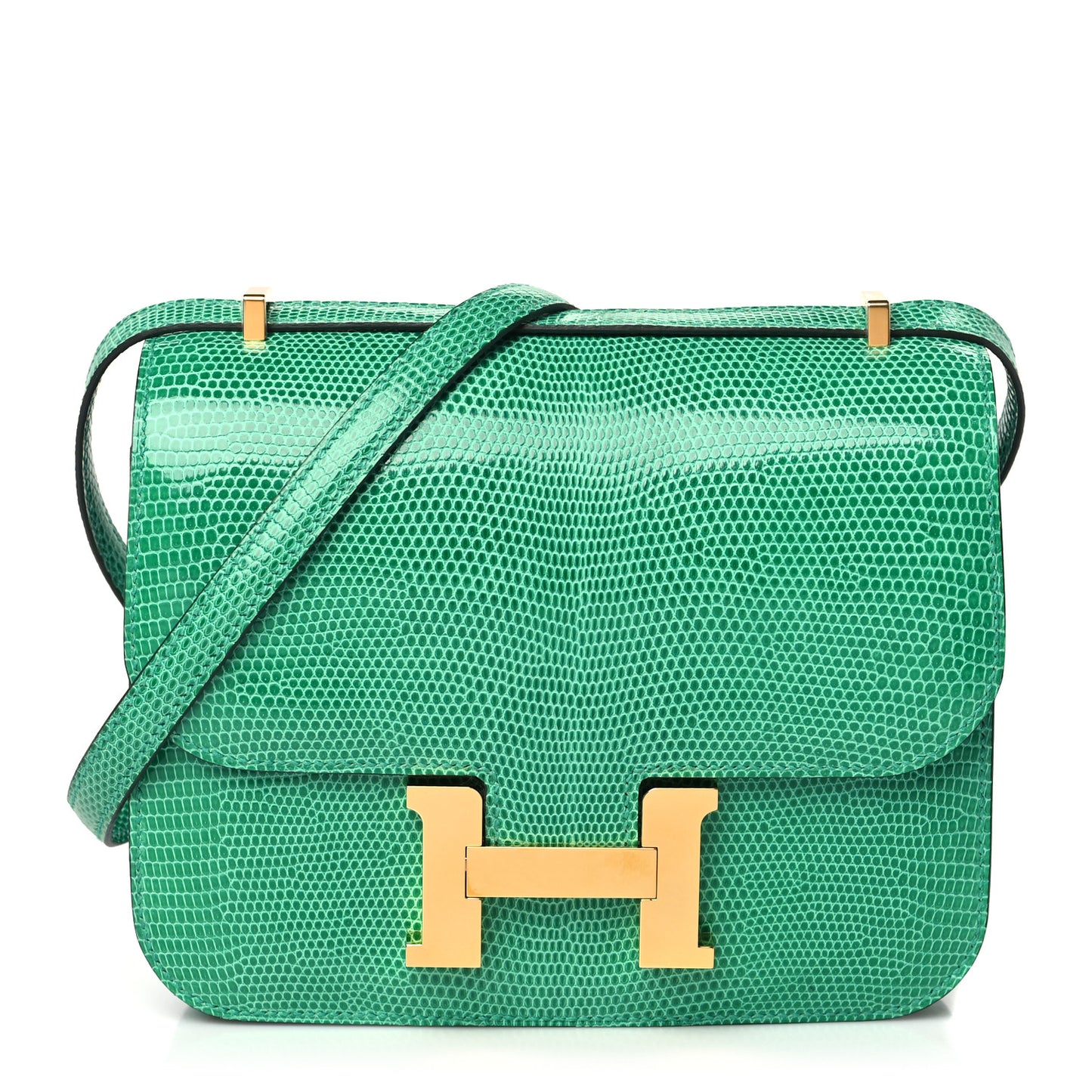 Lizard Constance 18 Menthe