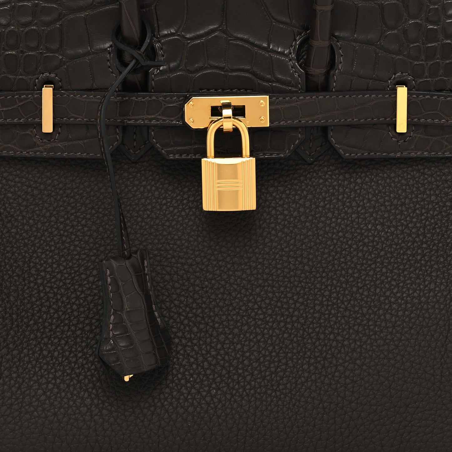 Togo Matte Alligator Birkin Touch 25 Ebene