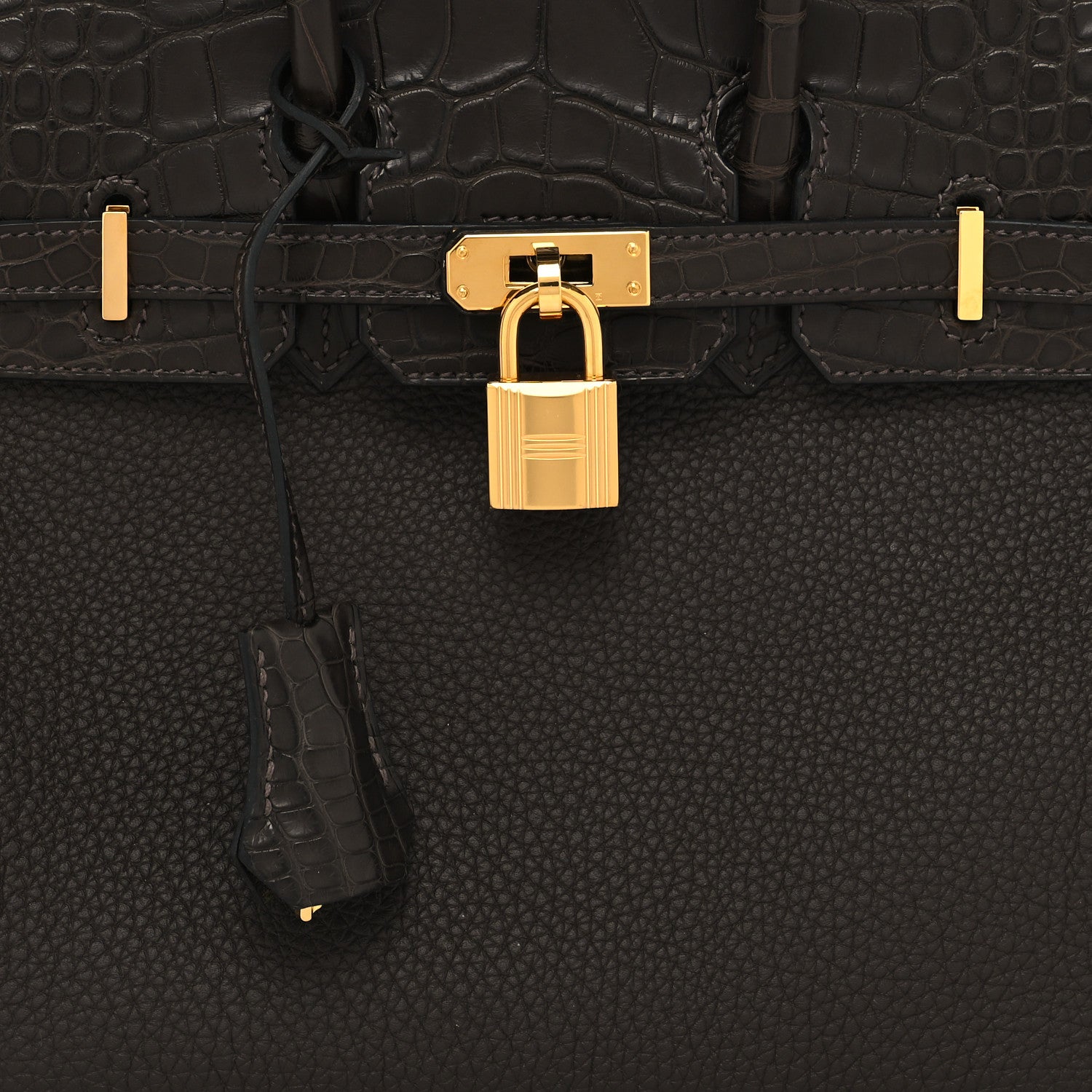 Hermes Togo Matte Alligator Birkin Touch 25 Ebene 8 of 10