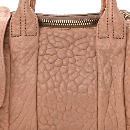 Alexander Wang Pebbled Lambskin Mini Rockie Latte Gold Hardware 7 of 14