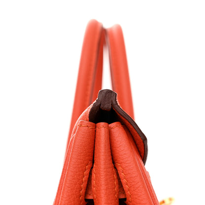 Hermes Togo Birkin 25 Feu 11 of 12