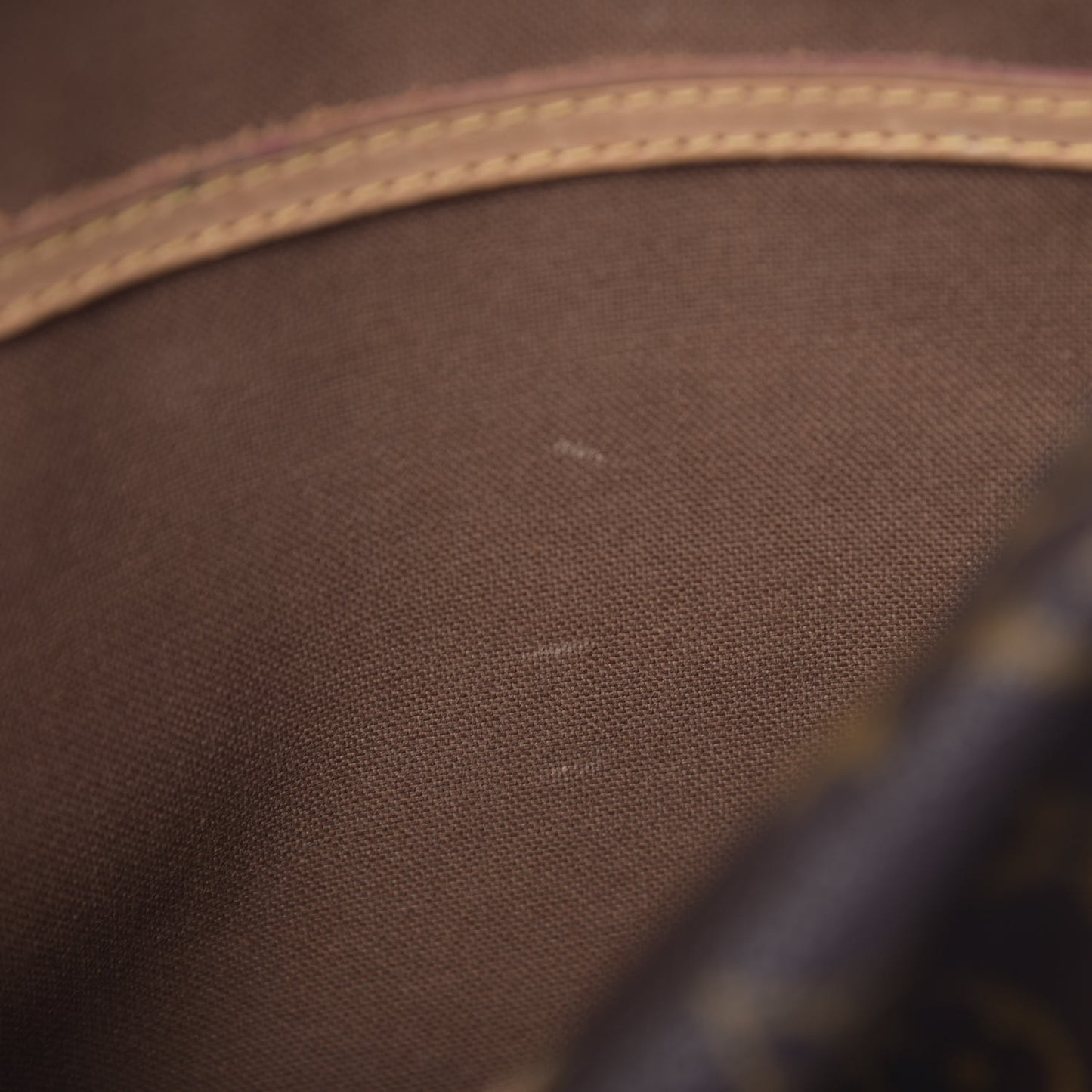 Monogram Cabas Mezzo