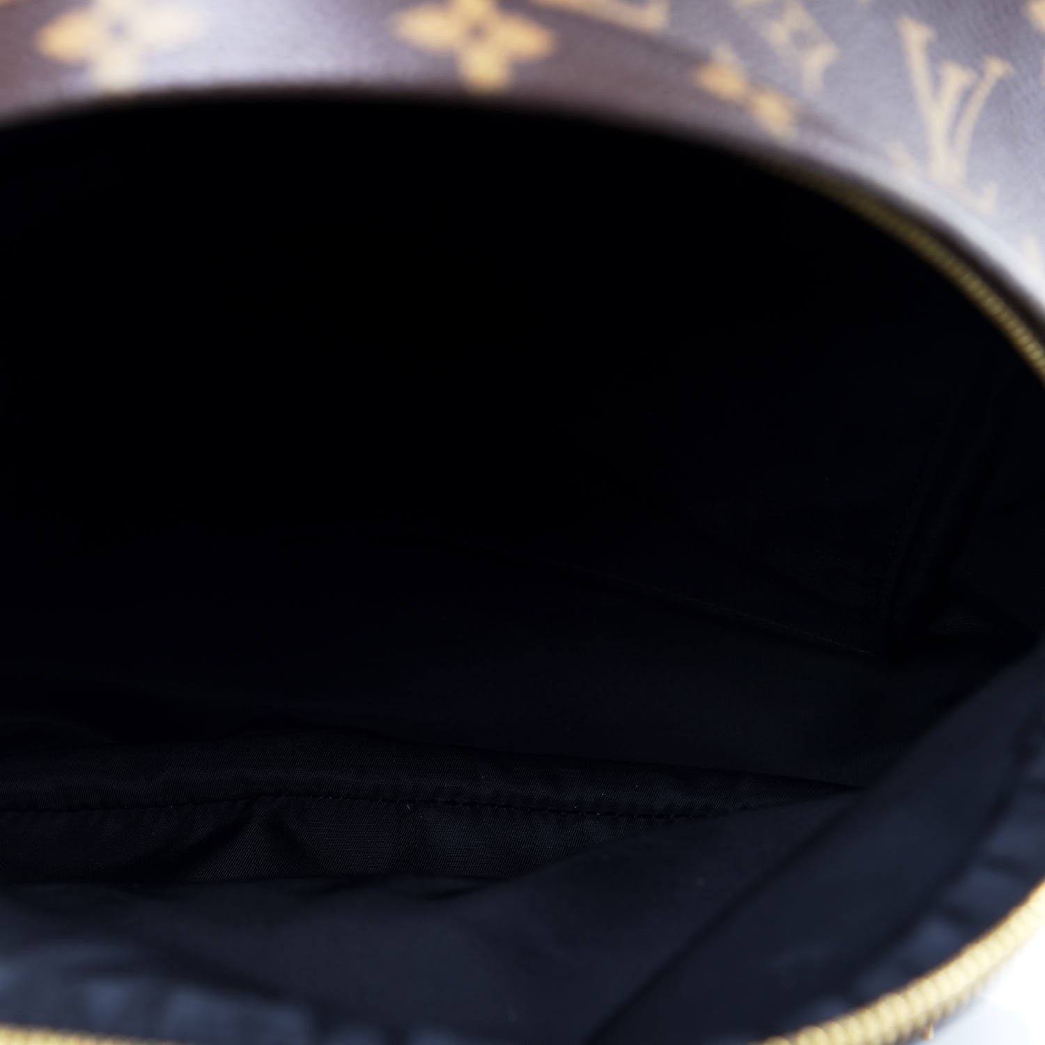 Louis Vuitton Monogram Palm Springs Backpack MM 4 of 11