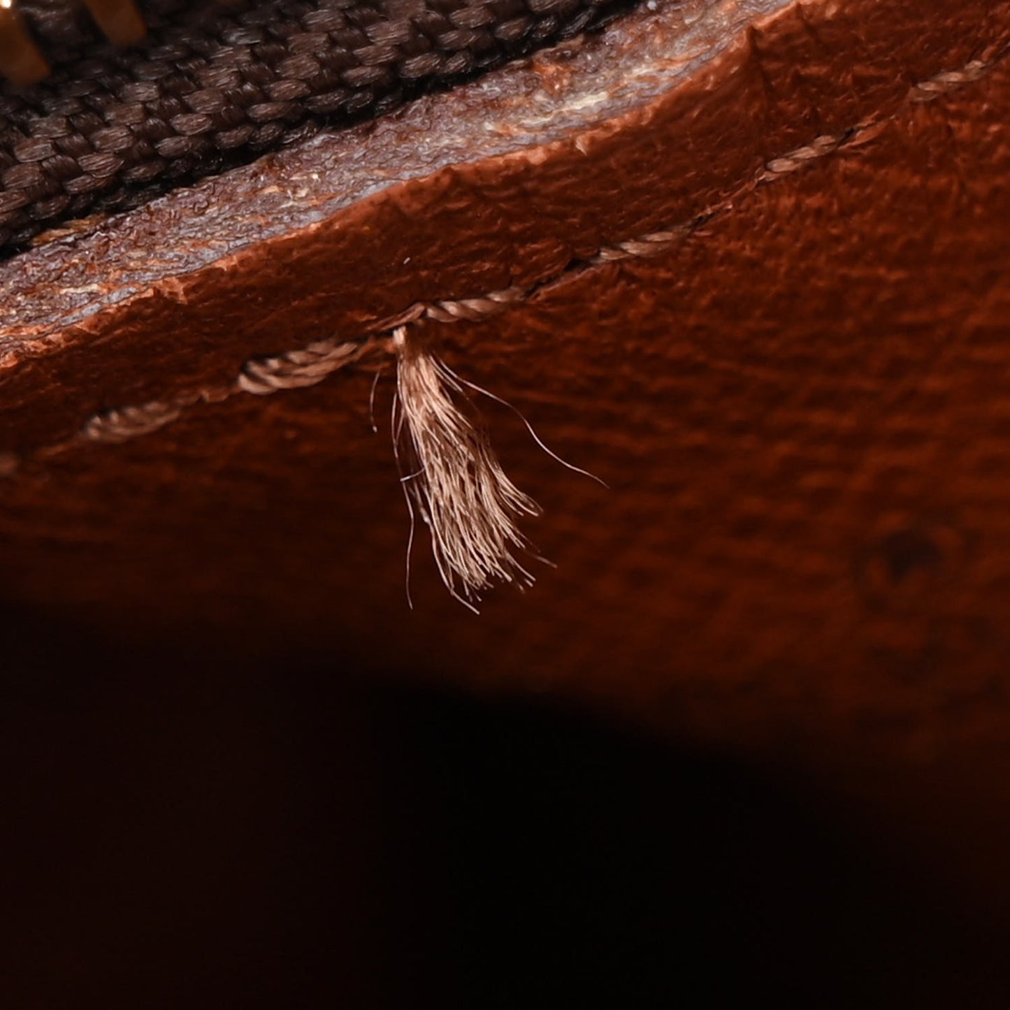 Monogram Papillon 30