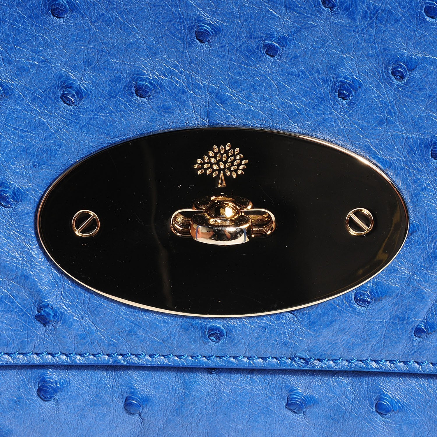 Mulberry Ostrich Lily Flap Bluebell Blue 6 of 10