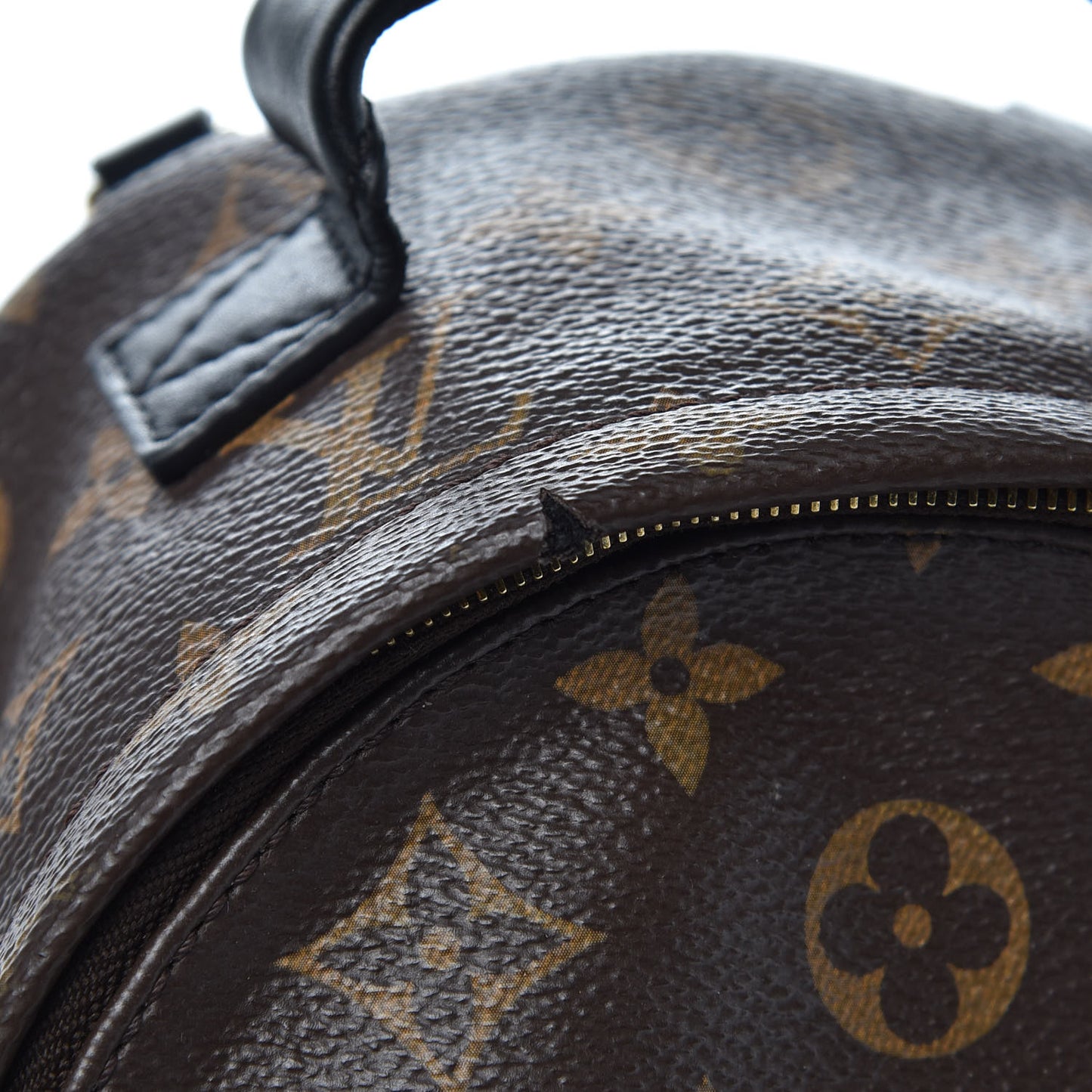 Monogram Palm Springs Backpack Mini