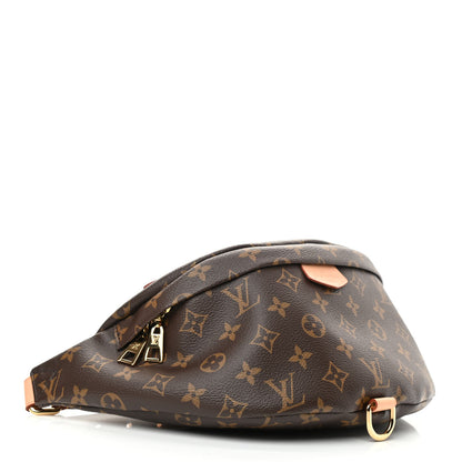Louis Vuitton Monogram Bumbag 4 of 9