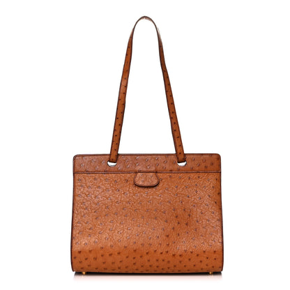 Hermes Ostrich Muzo Shoulder Bag Gold 1 of 12
