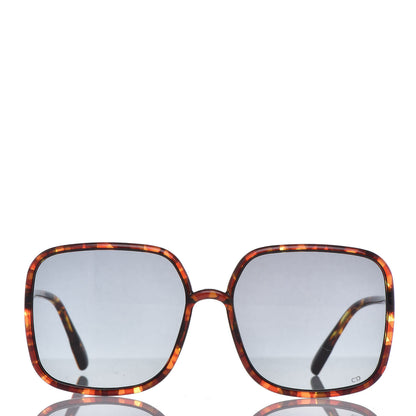 Christian Dior Acetate So Stellaire 1 Sunglasses Tortoise 2 of 7