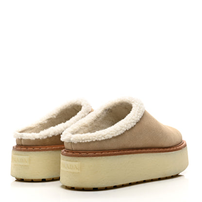 Prada Shearling Suede Scamosciato Evolve Mules 36.5 Ecru 5 of 9