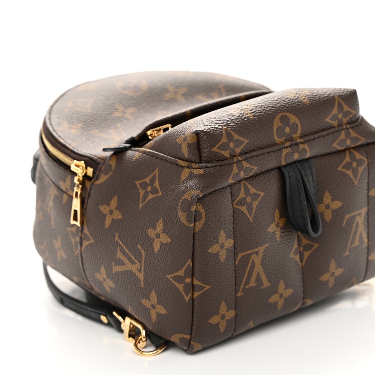Monogram Palm Springs Backpack Mini