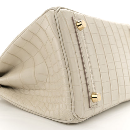Hermes Matte Alligator Birkin 25 Beton 9 of 12