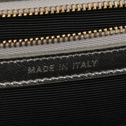 Christian Dior Metallic Ceramic Effect Deerskin Medium Diorama Flap Bag Silver 6 of 14