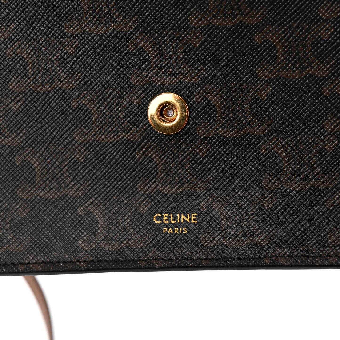 Triomphe Canvas Lambskin Wallet On Strap Tan