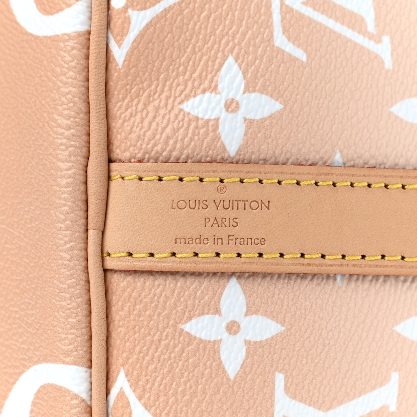 Monogram Giant By The Pool Speedy Bandouliere 25 Brume