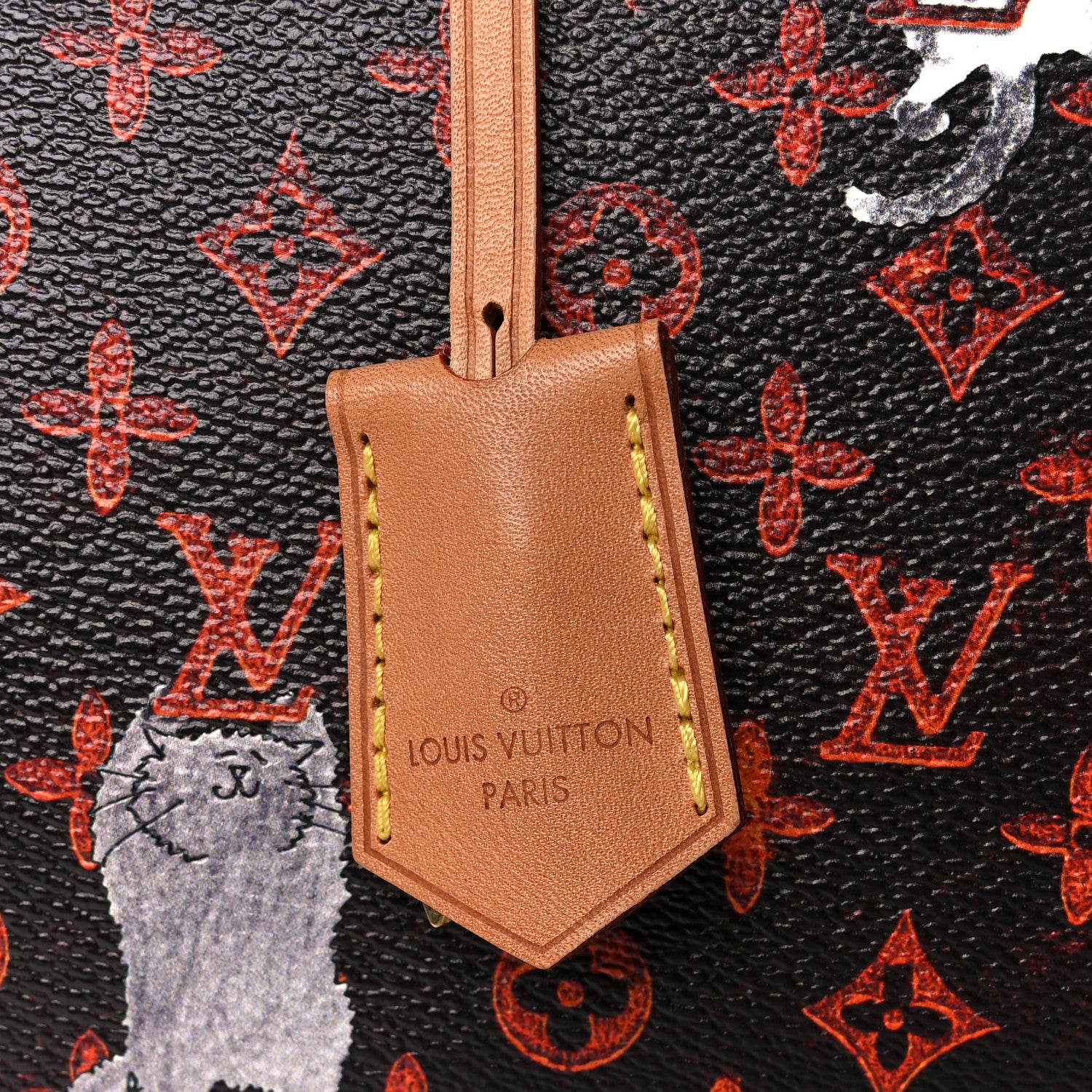 Louis Vuitton Catogram Speedy Bandouliere 30 Marron 8 of 14