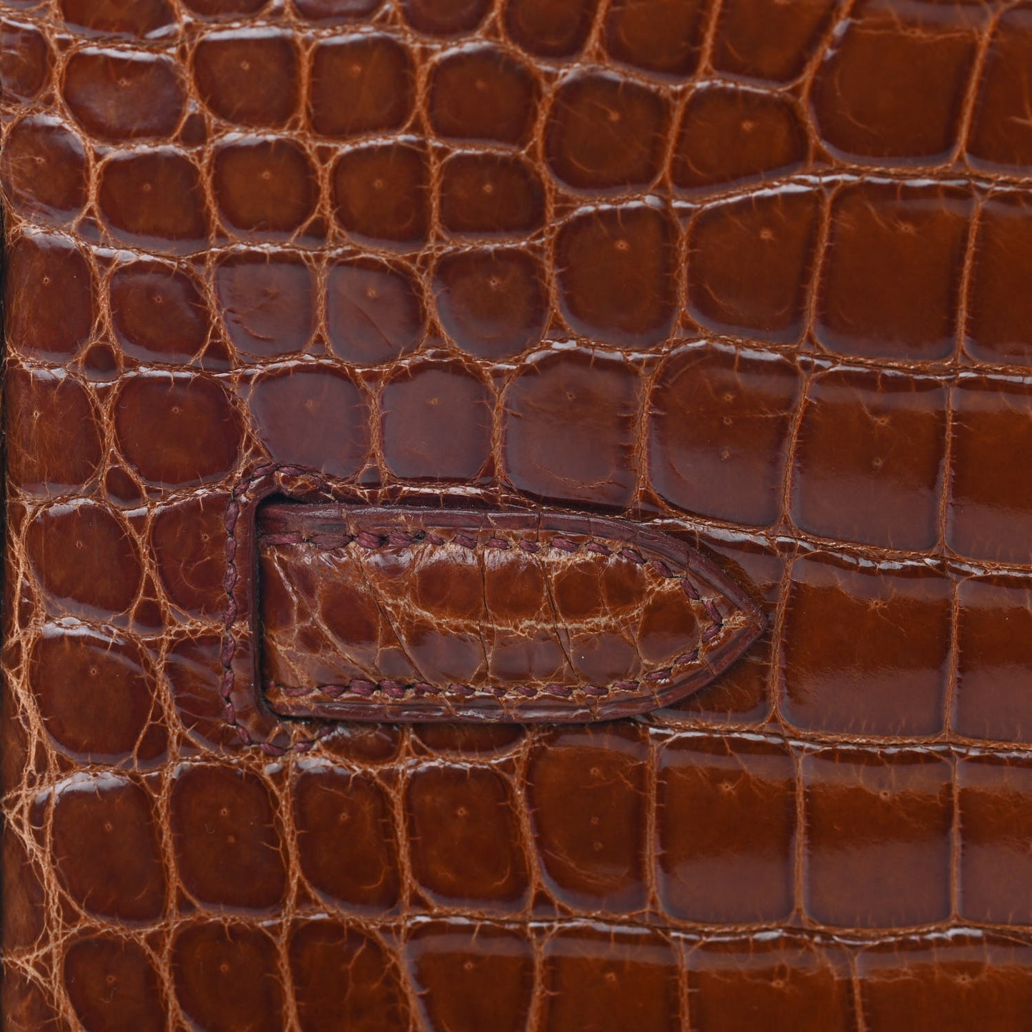 Shiny Porosus Crocodile Birkin 35 Etrusque