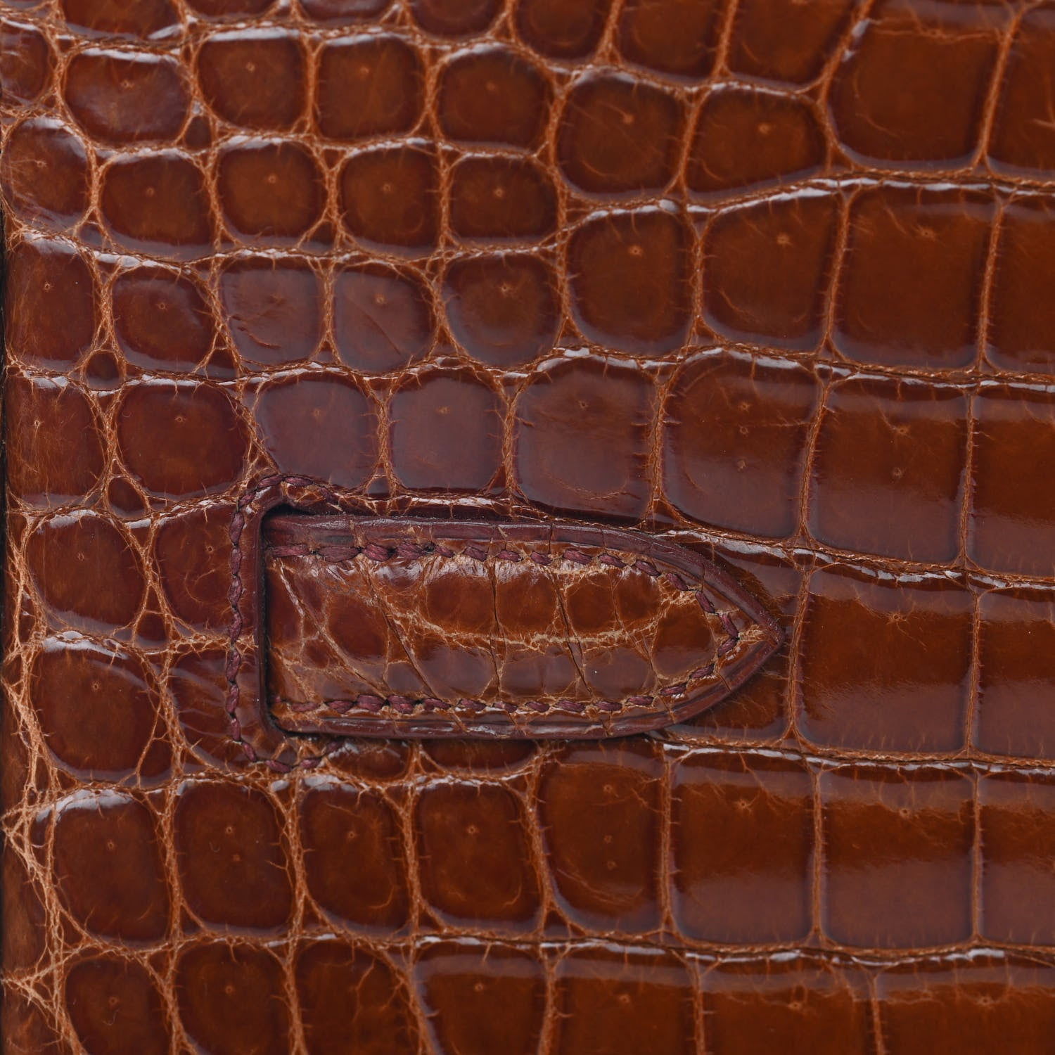 Hermes Shiny Porosus Crocodile Birkin 35 Etrusque 11 of 35