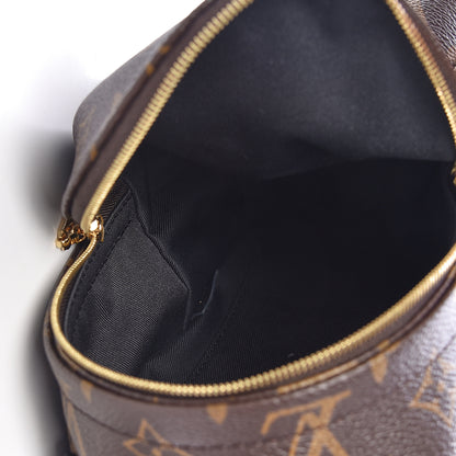 Louis Vuitton Monogram Palm Springs Backpack Mini 5 of 12