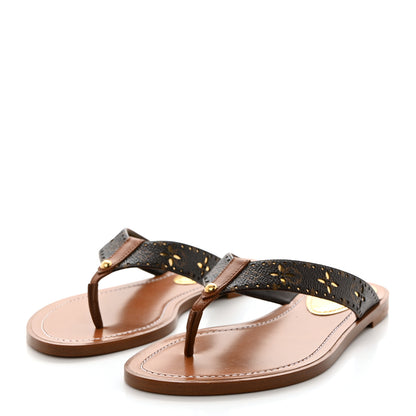 Louis Vuitton Monogram Sunny Flat Thong Sandals 36 Brown 3 of 10
