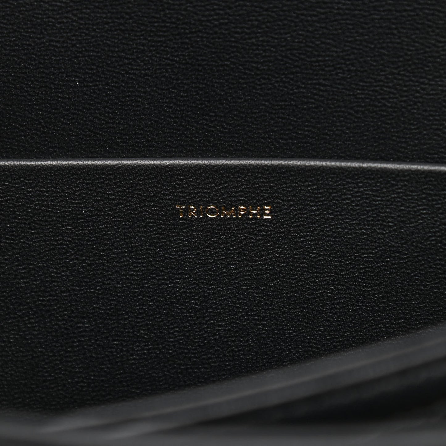 Shiny Calfskin Medium Triomphe Black