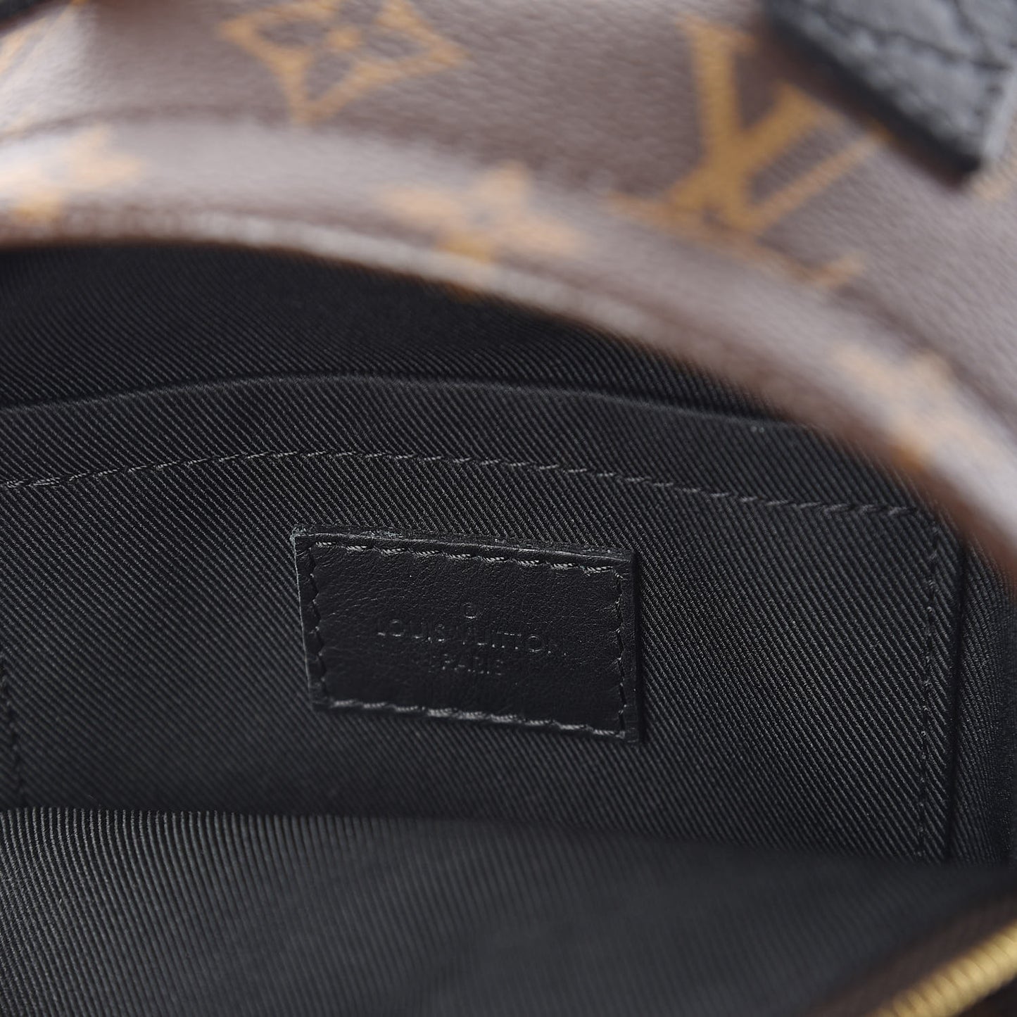Monogram Palm Springs Backpack Mini