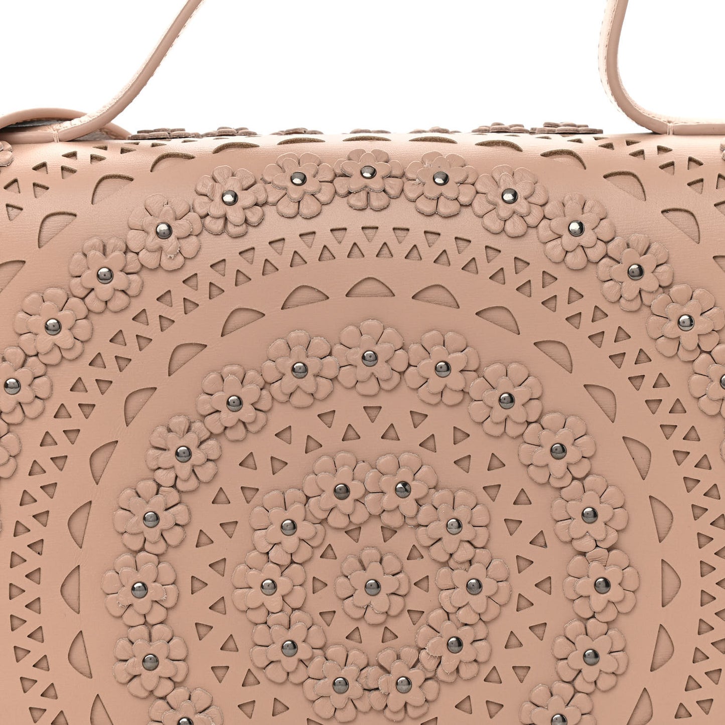 Calfskin Laser Cut Studded Medium Franca Crossbody Sable