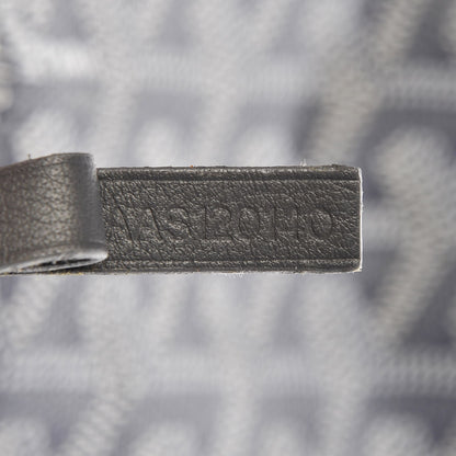 Goyard Goyardine Saint Louis PM Grey 9 of 18