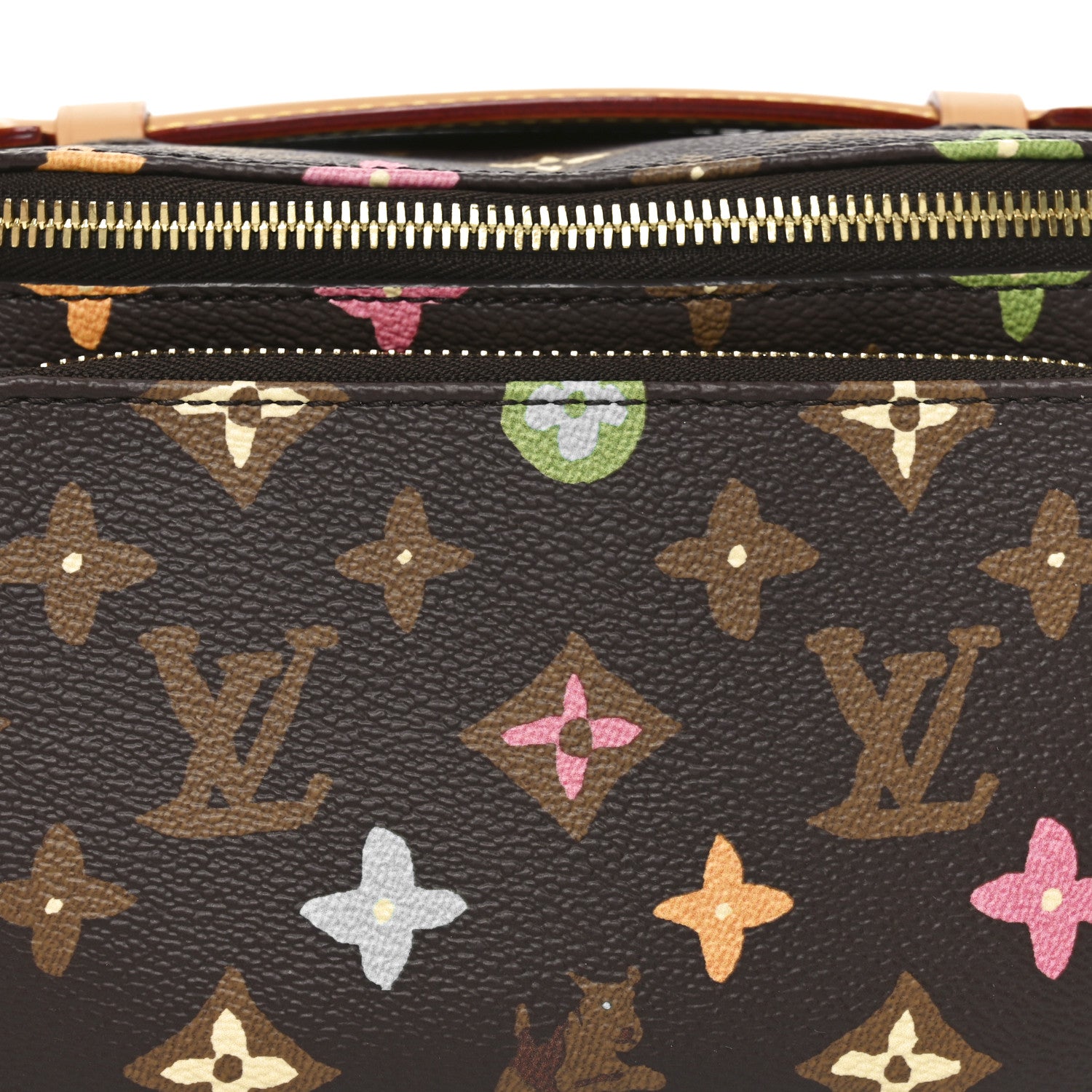 Louis Vuitton X TYLER THE CREATOR Monogram Craggy Rush Bumbag 7 of 9