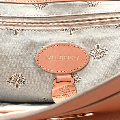 Mulberry Soft Buffalo Medium Alexa Plaster Pink 6 of 9