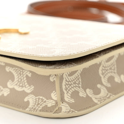 Celine Canvas Calfskin Triomphe Multipochette Grege 10 of 11