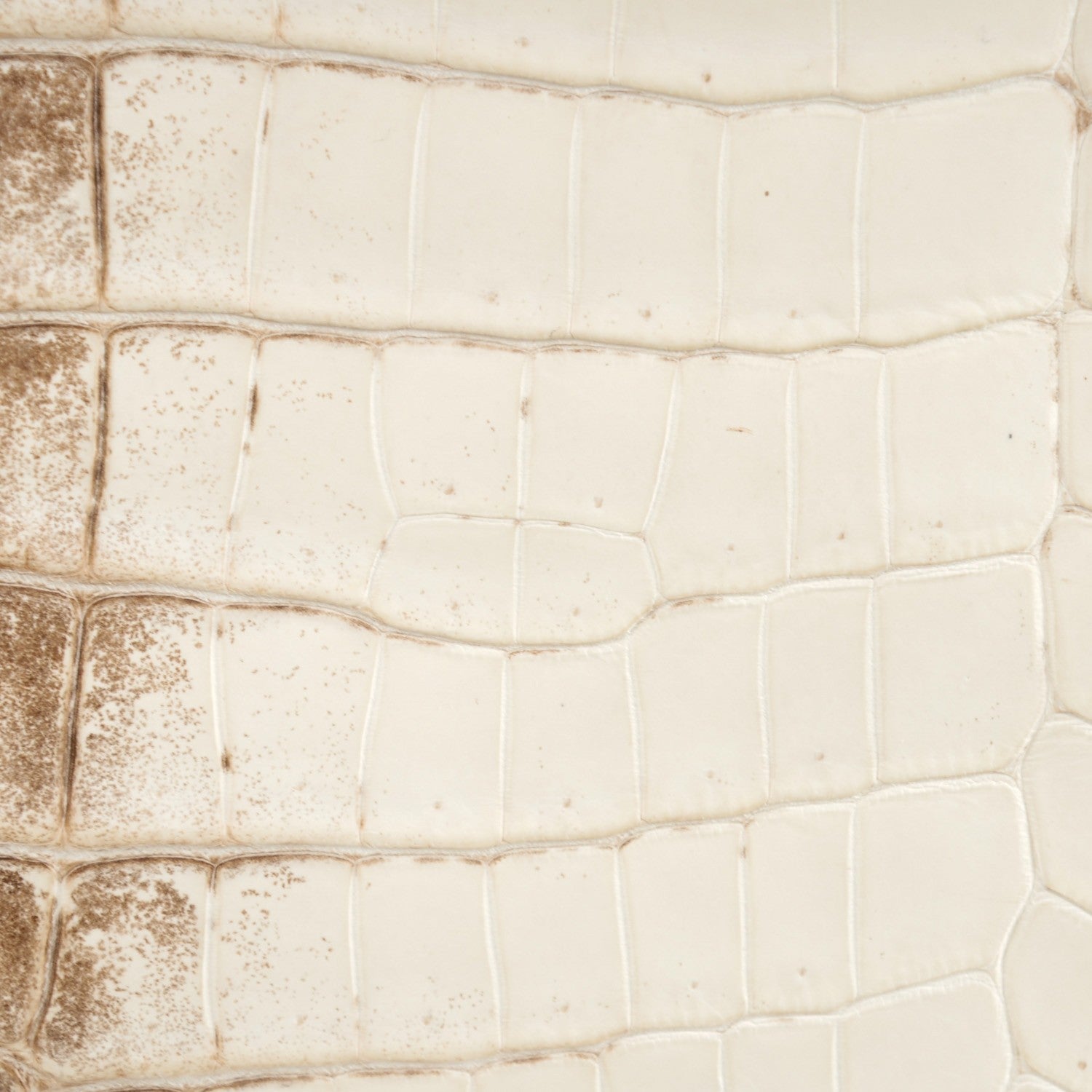 Hermes Matte Niloticus Crocodile Himalaya Kelly Retourne 25 White 18 of 32