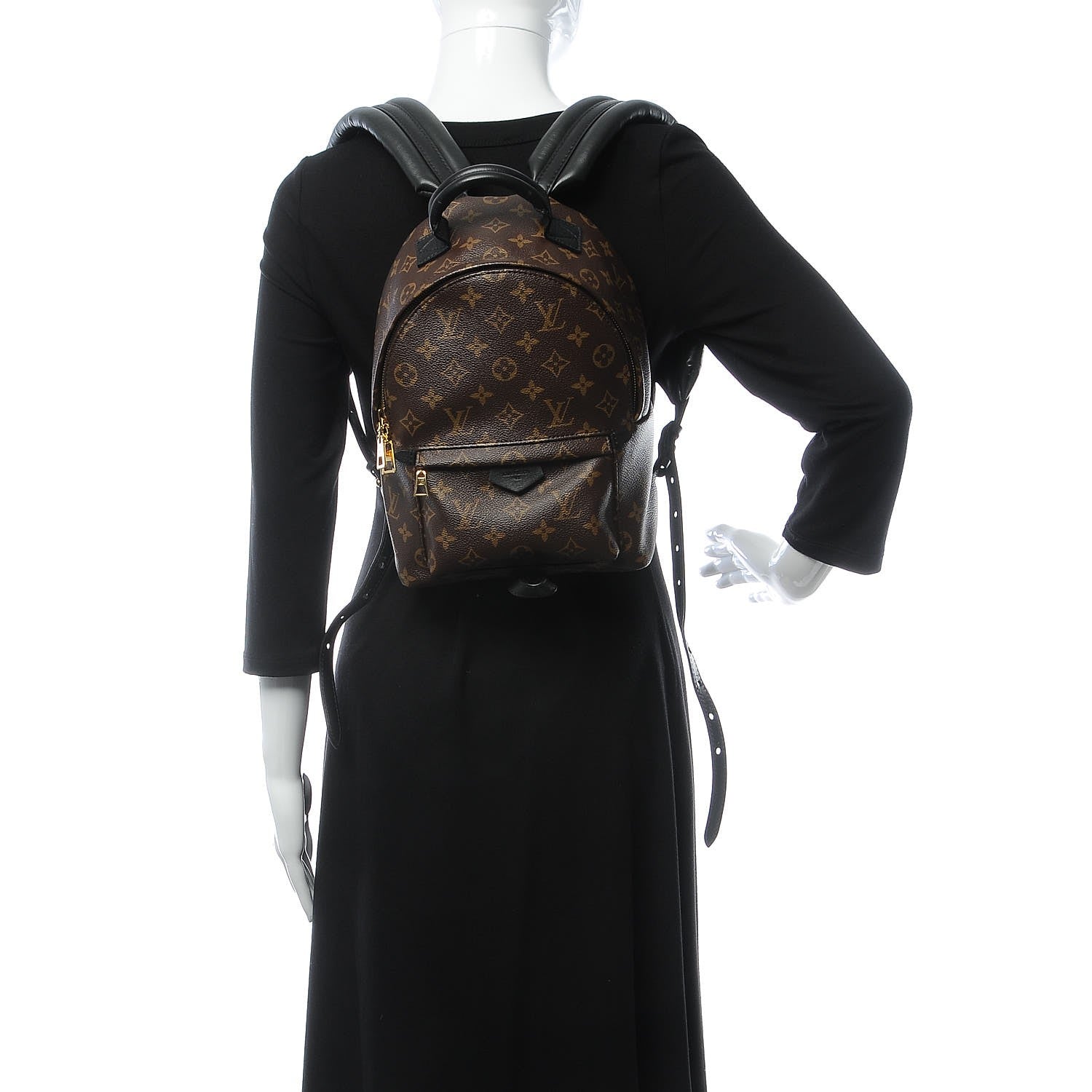 Louis Vuitton Monogram Palm Springs Backpack PM 2 of 7