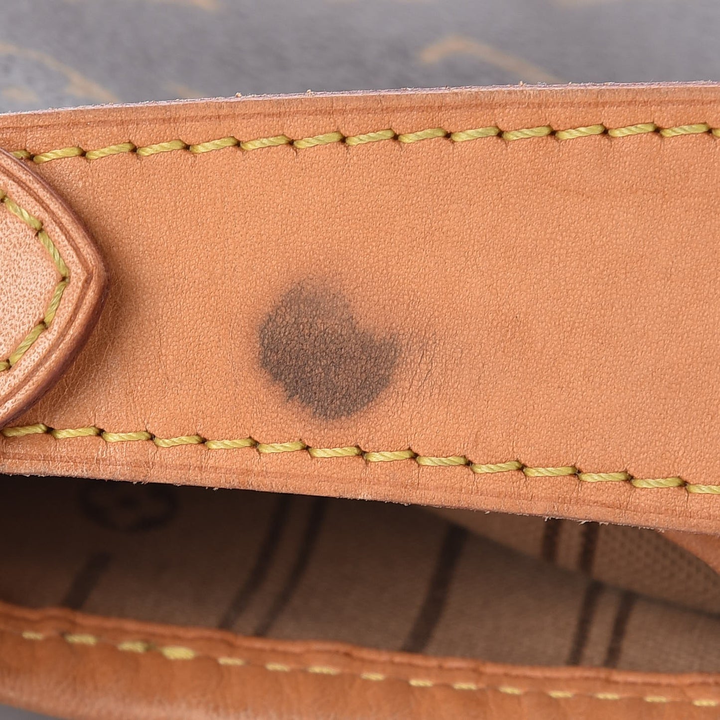 Monogram Delightful MM