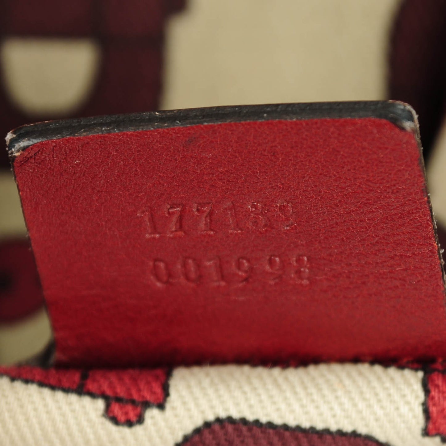 Guccissima Medium Indy Top Handle Hobo Red
