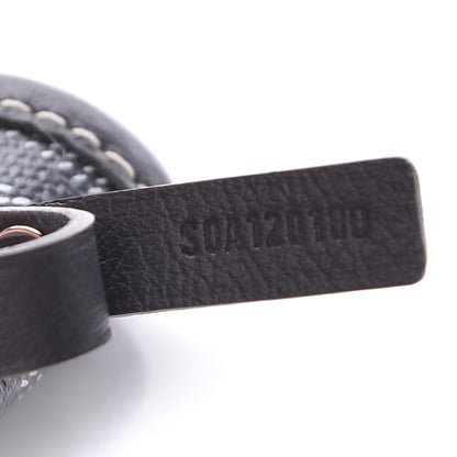 Goyard Goyardine Saint Louis PM Grey 8 of 13