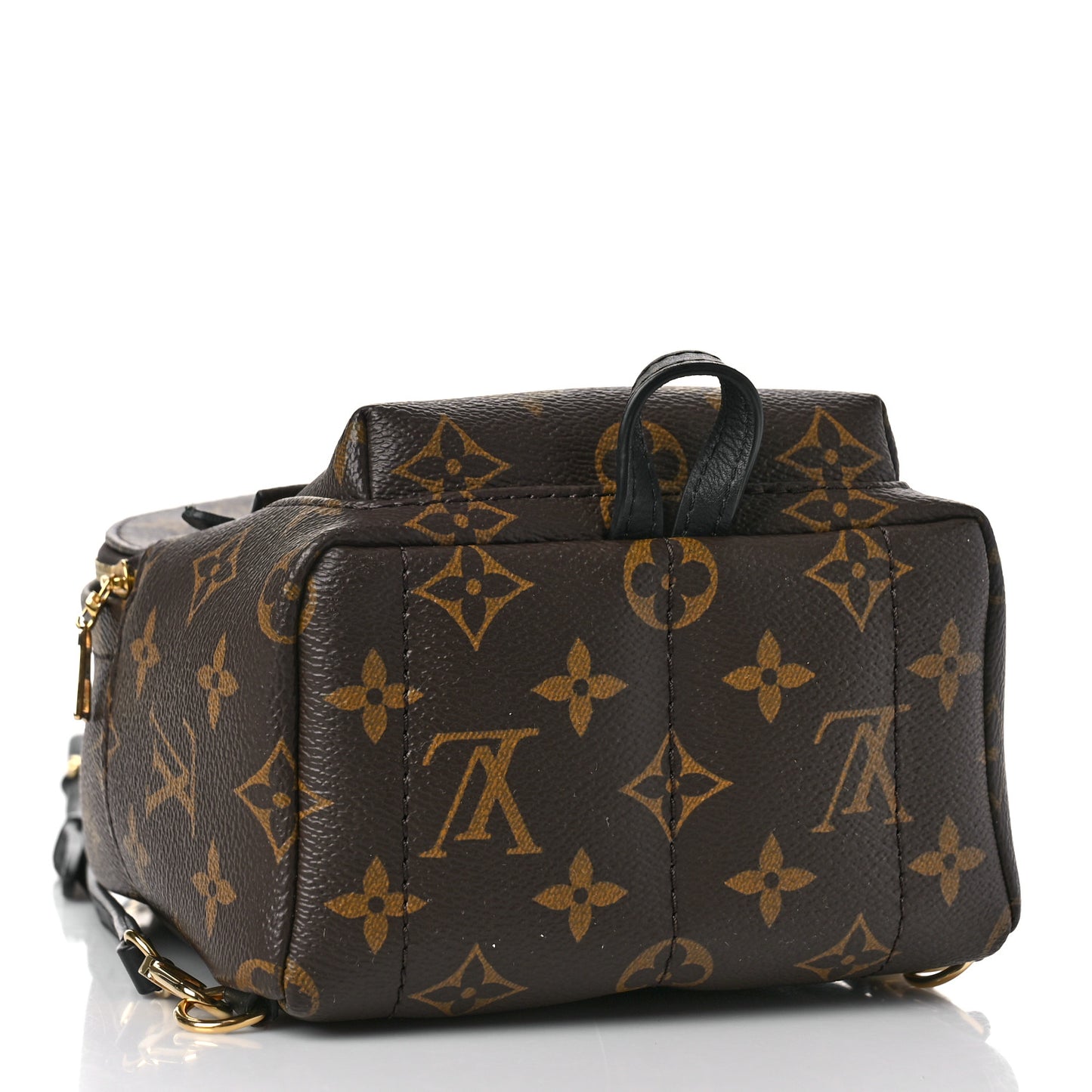 Monogram Palm Springs Backpack Mini