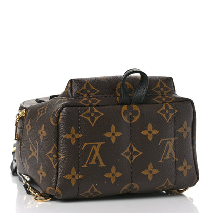 Louis Vuitton Monogram Palm Springs Backpack Mini 3 of 7