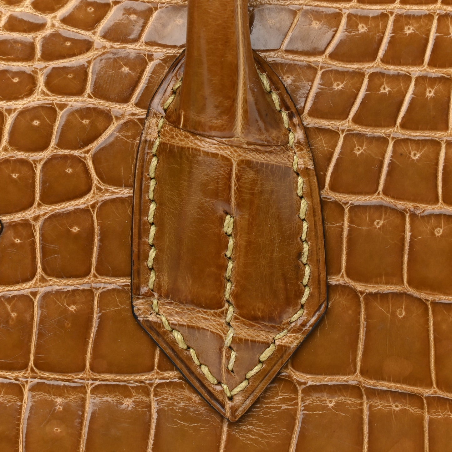 Shiny Porosus Crocodile Birkin 30 Ficelle Chartreuse