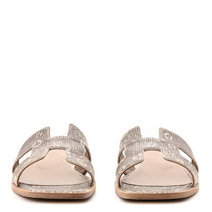 Hermes Lizard Oran Sandals 40 Ombre 3 of 10