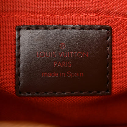 Louis Vuitton Damier Ebene Ribera Mini 6 of 16