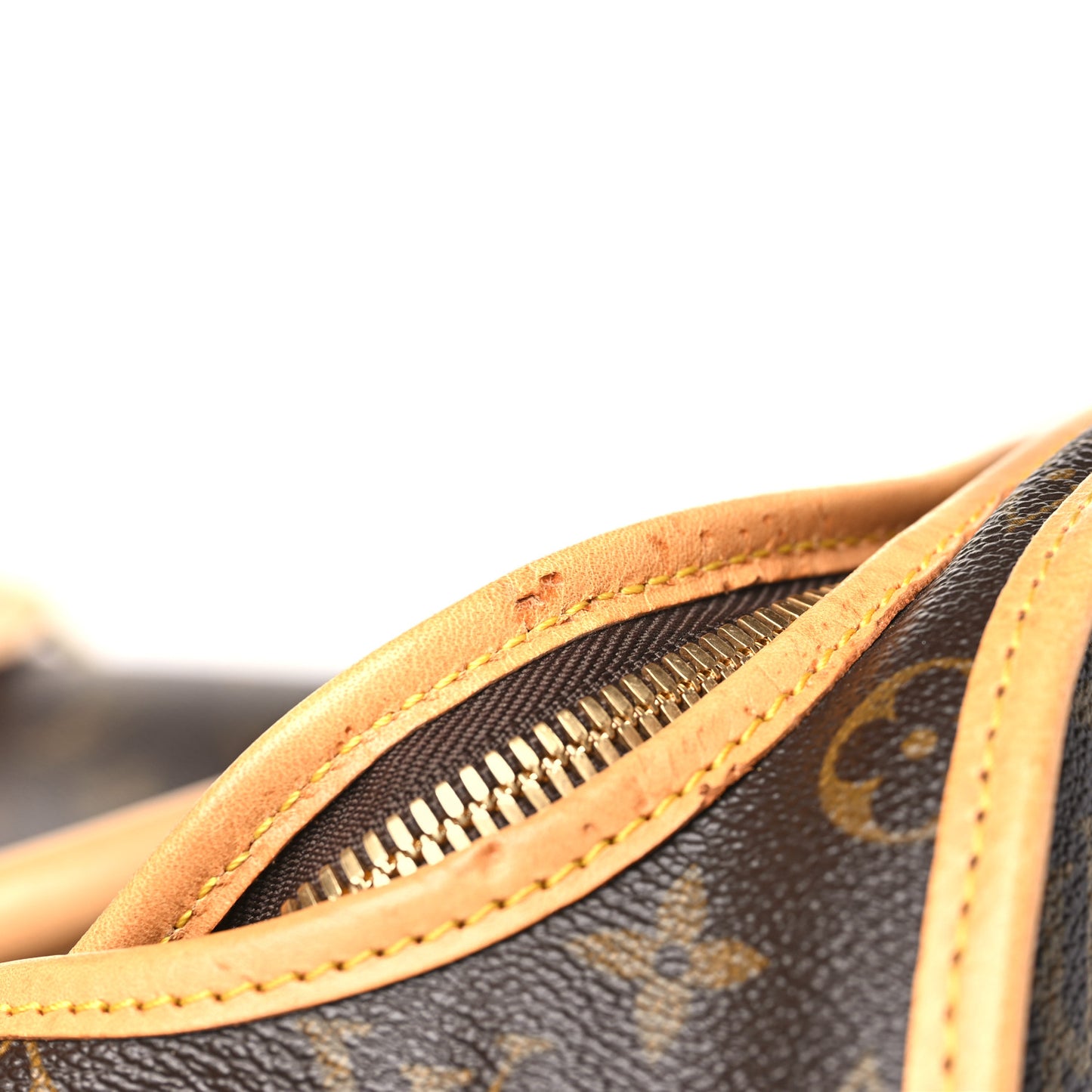 Monogram Sac Chien 50 Pet Carrier