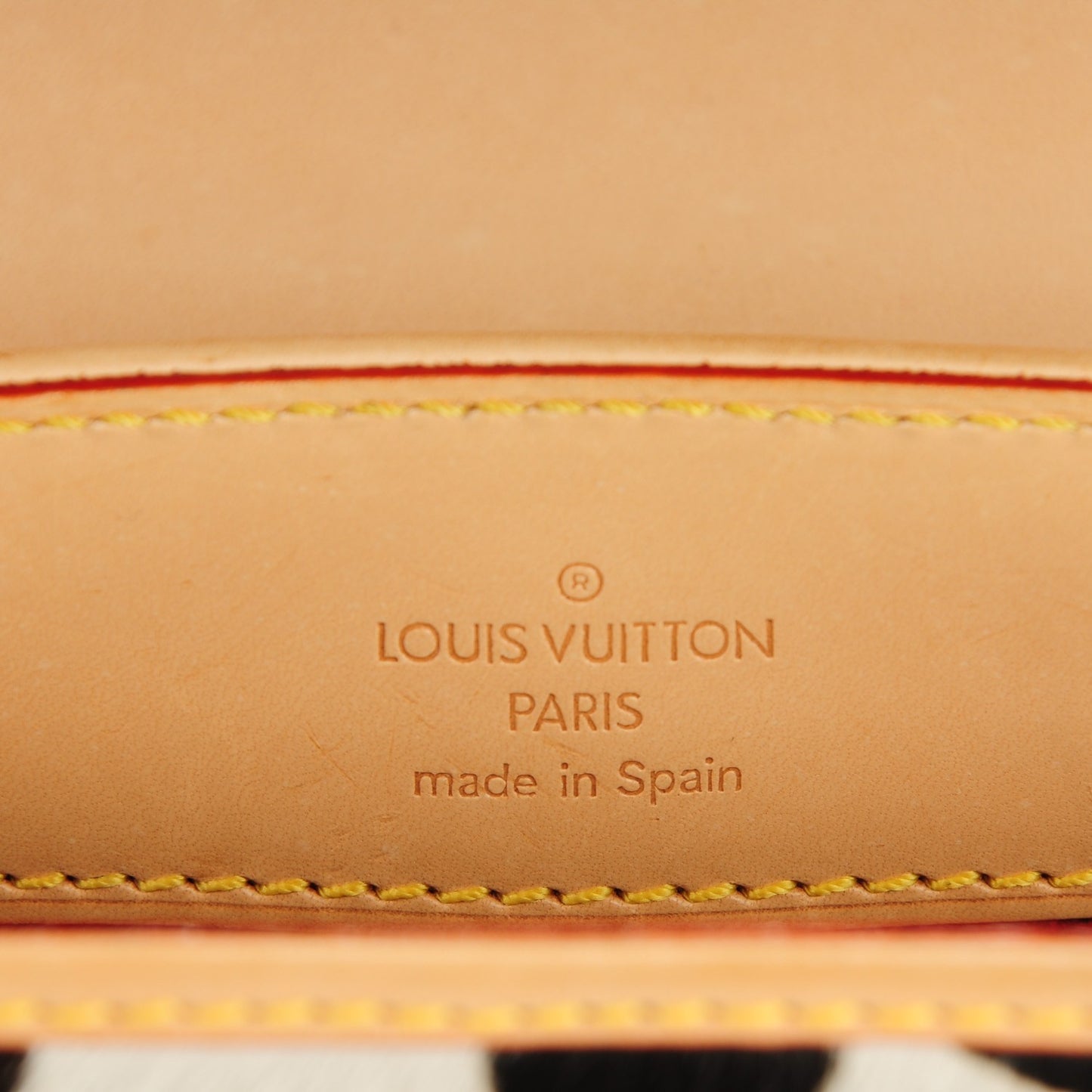 Monogram Multicolor Dalmatian Sac Rabat