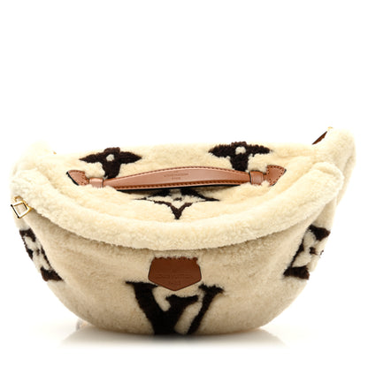 Louis Vuitton Monogram Teddy Bumbag 1 of 10