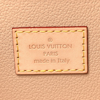 Louis Vuitton Monogram Nice Mini 6 of 6