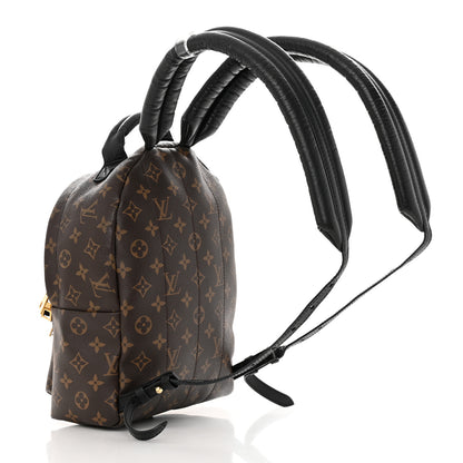 Louis Vuitton Monogram Palm Springs Backpack PM 3 of 14
