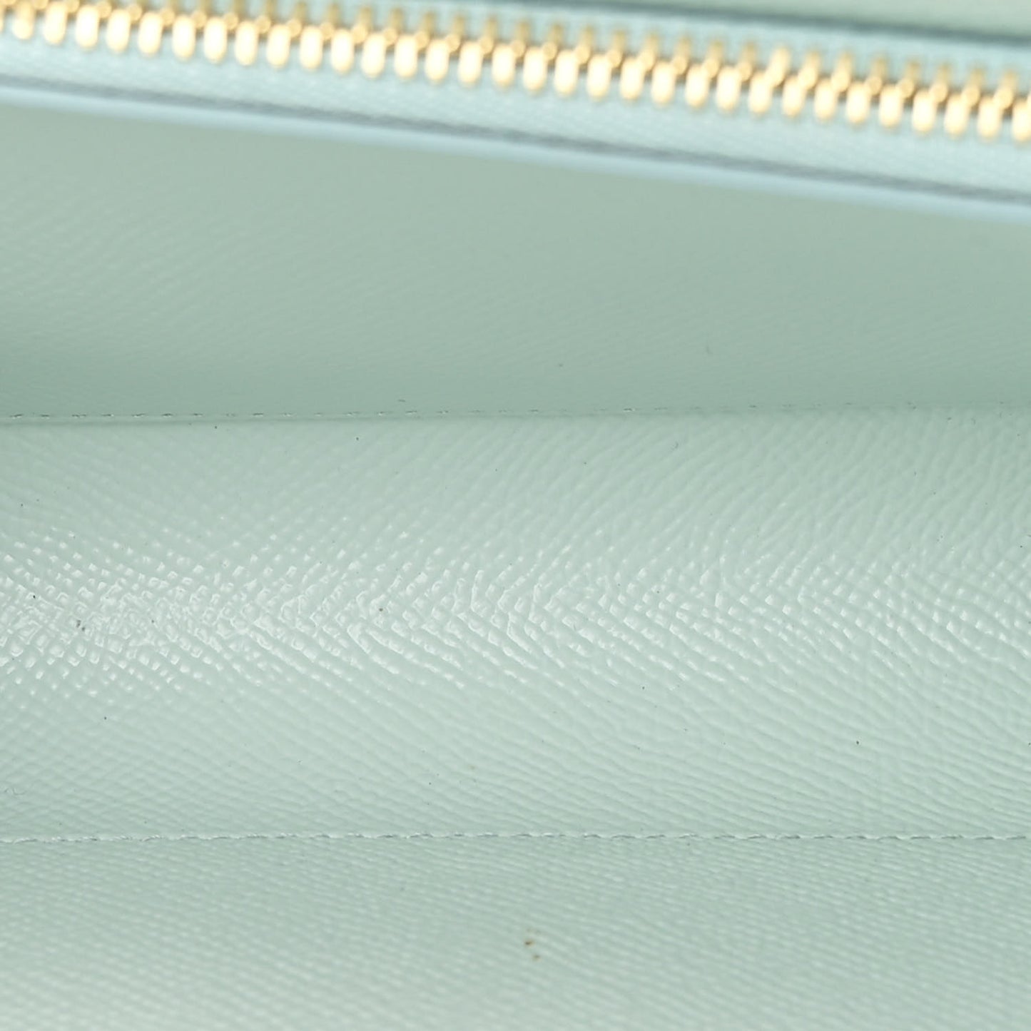 Dauphine Floral Print Wallet On Chain Blue Multicolor