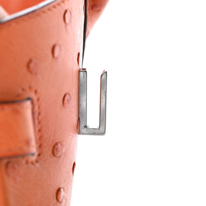 Hermes Ostrich Birkin 30 Orange 22 of 41